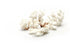 brown stem natural white coral 1 kg